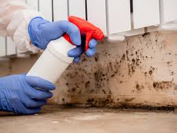 Mold Odor Removal Services in Marist College, NY